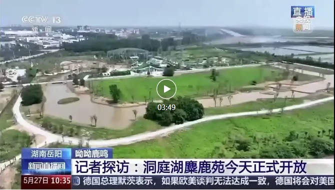 央视报道 | 易大设计EPC项目-湖南东洞庭湖麋鹿和鸟类救助避难中心正式开园
